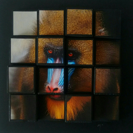 Natasha Pilipo: 'guru from congo', 2020 Mixed Media, Animals. Artist Description: 3D Cubes are mixed media concept created by Natasha Pilipo which was developed ten years ago. They take elements of sculpture, photography, painting, collage and mosaic and join them together in a completely innovative art form. All of these individual elements stop being what they were before and ...