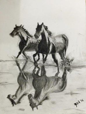 Neetasha Joshi: 'Freedom', 2016 Charcoal Drawing, Animals.  The essential joy of being with horses is that it brings us in contact with the rare elements of grace, beauty, spirit and freedom. ~ Sharon Ralls Lemon ...