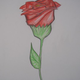 Nicole Pereira: 'Red Flower', 2012 Other Drawing, Floral. Artist Description:  flower, red flower, floral ...