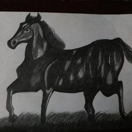 Nidhi Takur: 'pencil sketch', 2017 Pencil Drawing, Animals. Artist Description: horse...