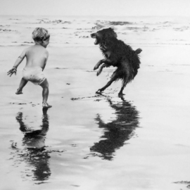 Alexander Boytsov: 'friends', 2023 Graphite Drawing, Beach. Artist Description: I was lucky - I had dogs when I was a kid. Two. They were blood brothers - They were born on the same day to our neighbor s dog. We were given one puppy first, and after a while we were given a second puppy. They lived with our ...