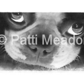 Patti Meador: 'Pout', 2004 Computer Art, Animals. Artist Description: Boston Terrier photo manipulation