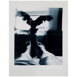 Marilyn Nosewicz: 'Bird  Window Room Figure Black White Silver Gelatin Photograph', 2011 Black and White Photograph, Abstract Figurative. Artist Description:     Black and White Photograph of Bird Flying From figure to Window. Photographed with black and white film, film camera. Hand Printed in darkroom with chemicals. Silver Gelatin Photograph. Re- Printed, via tileing 9 tiles, mounted to Board. Hand signed on front of photograph. Email me for other questions. ...