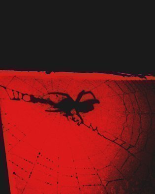 C. A. Hoffman: 'Arachnid Art VI Red Dawn', 2009 Color Photograph, Abstract Landscape. 