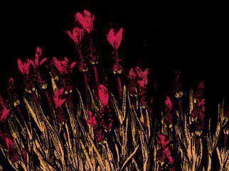 Artist: C. A. Hoffman - Title: Blood Red Field Flowers - Medium: Color Photograph - Year: 2009