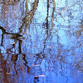 C. A. Hoffman: 'Blue Manifestation', 2008 Color Photograph, Abstract Landscape. 