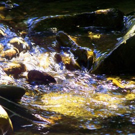 C. A. Hoffman: 'Dappled Rush', 2008 Color Photograph, Abstract Landscape. Artist Description:  Digitally enhanced photo of a clear mountain stream caught on a sunny afternoon. ...