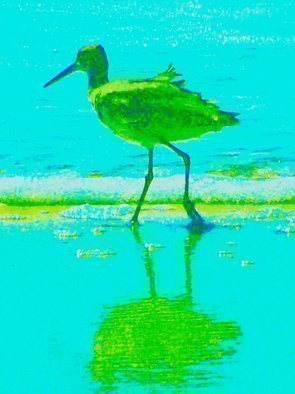 Artist: C. A. Hoffman - Title: Green Sea Strollin - Medium: Color Photograph - Year: 2009