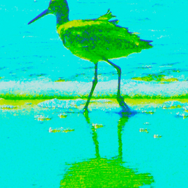 C. A. Hoffman: 'Green Sea Strollin', 2009 Color Photograph, Abstract Landscape. 