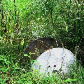 C. A. Hoffman: 'Used and Lonely', 2008 Color Photograph, Abstract Landscape. Artist Description:  A worn and discarded reel of old wiring, that lies out in a  field of wildflowers and berries, seems to cry out for someone to come and use it once again.  ...