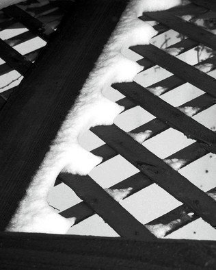 C. A. Hoffman: 'Winter Criss Cross', 2008 Black and White Photograph, Archetypal.  Black and white of an everyday piece of the American life.  The criss- crossing pattern of the lattice helps this piece to project the solitary and cold of the dead of winter. ...