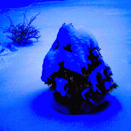 C. A. Hoffman: 'Winters Gift', 2009 Color Photograph, Abstract Landscape. 