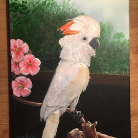 Michael Pickett: 'Molly Cockatoo', 2019 Acrylic Painting, Animals. Artist Description: Molly is a peach colored Cockatoo, The painting was commissioned as a memorial, with three of her feathers applied to the painting. . . ...