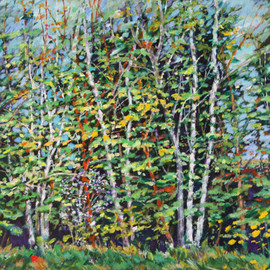 Richard Knox: 'The 3 Graces', 2009 Acrylic Painting, Landscape. Artist Description:  Three birch 