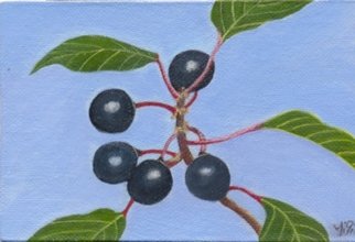 Yiqi Li: 'Berrys', 2008 Oil Painting, Botanical.  The painting is in realism style and it is original oil on canvas. It is signed by artist. ...