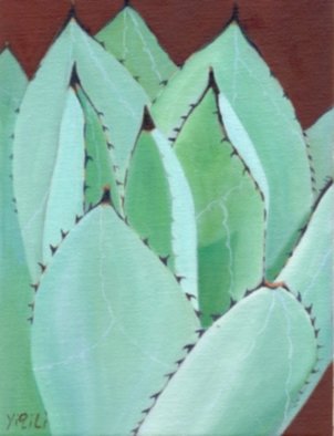 Yiqi Li: 'Cactus 1', 2008 Oil Painting, Botanical.  The painting is in realism style and it is original oil on canvas. It is signed by artist. ...