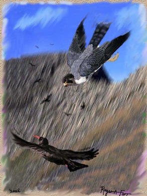 Roger Farr: 'Out of the Blue', 2002 Acrylic Painting, Birds. A Peregrine Falcon stoops at a Chough, as witnessed in Scotland. The chough did not evade the impact! Acrylic on board. ...