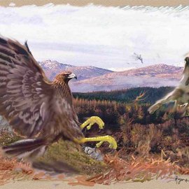Roger Farr: 'The Great Escape', 2002 Acrylic Painting, nature. Artist Description: Acrylic on Board, after seeing this incident on a tv programme it inspired me to paint it. They are in their natural environment. The hare leaped violently at the last second to escape the Golden Eagles talons, and it was successful! ...