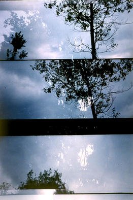 Leah Oates: 'Durations 2', 2002 Color Photograph, nature. 