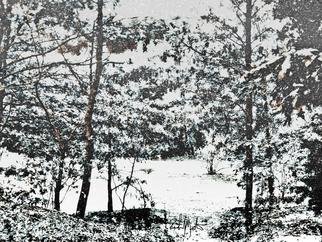Richard Montemurro: 'Snow', 2013 Digital Art, Landscape.                                             digital art, abstract art. art, computer art, photographs, photo manipulation, manipulations, nature, scenic, landscape, floral                                            ...