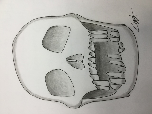 Riley Mosteller  'Skull', created in 2018, Original Drawing Pencil.