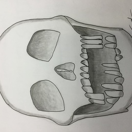 Riley Mosteller: 'skull', 2018 Pencil Drawing, Death. Artist Description: ItaEURtms a skull...