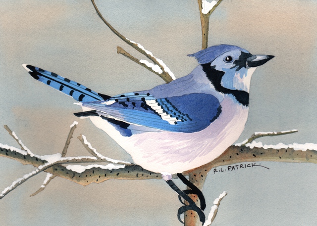 Ralph Patrick  'Blue Jay', created in 2011, Original Watercolor.