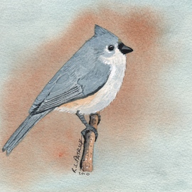 Tufted Titmouse By Ralph Patrick
