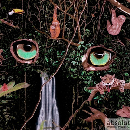 Robert Ball: 'Jungle Eyes', 2013 Pencil Drawing, Cats. Artist Description:  The jungle has eyes! ...