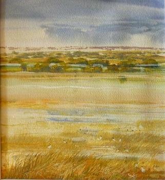 Rod Bax: 'mandina landscape', 2010 Watercolor, Landscape.  south austarlian wetlands medium is gouache on arches 300gsm ...