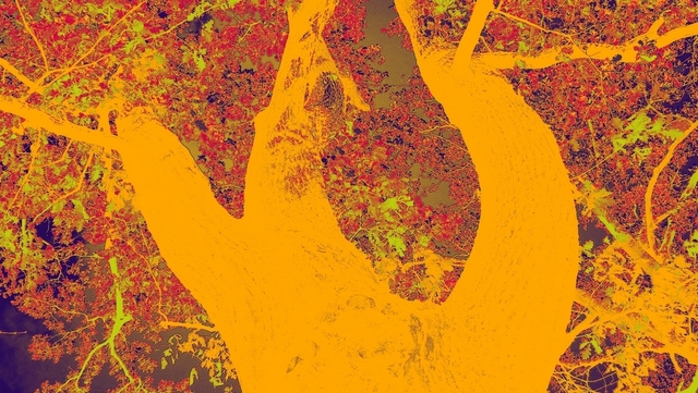 Artist Reiner Poser. 'Burning Autumn' Artwork Image, Created in 2008, Original Mixed Media. #art #artist