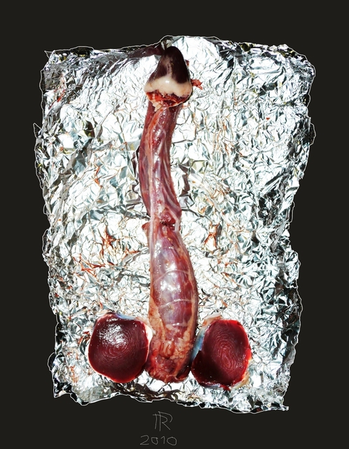 Artist Reiner Poser. 'Some People Like It Hot' Artwork Image, Created in 2010, Original Mixed Media. #art #artist