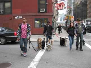 Artist: Ruth Zachary - Title: Dog Walkers on Upper Eastside - Medium: Color Photograph - Year: 2012