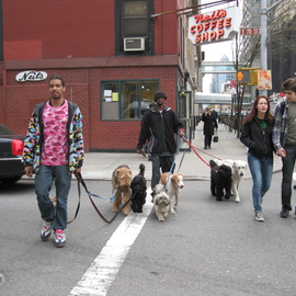 Dog Walkers on Upper Eastside By Ruth Zachary