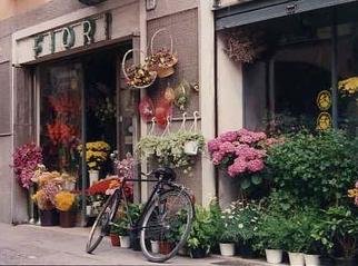 Ruth Zachary: 'Fiori', 1997 Color Photograph, Floral. Fiori. . . that' s Italian for flowers.  Romantic European flower shop with bicycle.  Charming old- world street scene, Padua, Italy. Limited edition, signed and numbered. 14 x 11 image in an acid free 20 x 16 mat. Smaller sizes, too. Please sign my guest book.  Id love to hear from you.  ...