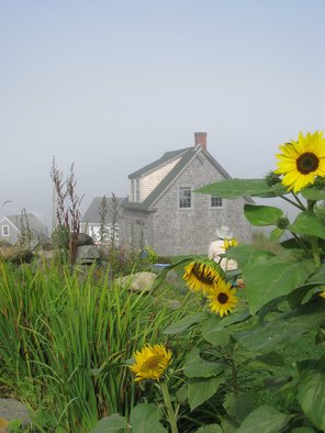 Artist: Ruth Zachary - Title: Sunflower Daydream - Medium: Color Photograph - Year: 2012