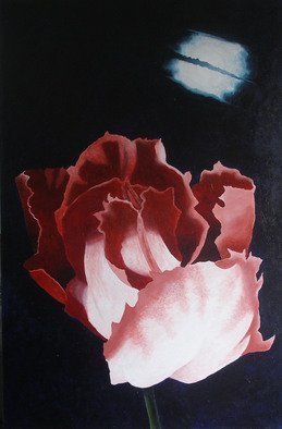 Sarah Longlands: 'Undecided Tulip by Full Moon', 2006 Acrylic Painting, Philosophy.   Which Way Now?                 ...