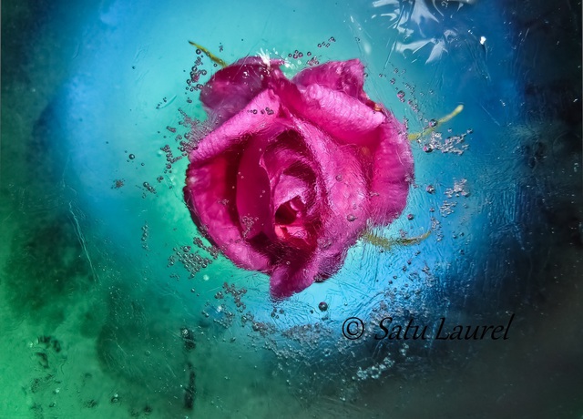 Artist Satu Laurel. 'Floating Abyss' Artwork Image, Created in 2012, Original Photography Color. #art #artist