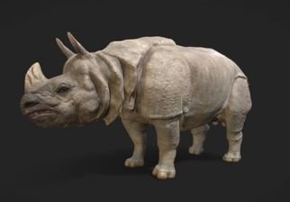 Artist: Sebastian Novaky - Title: indian rhino - Medium: Bronze Sculpture - Year: 2018