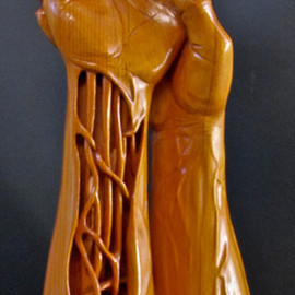 Michael Semsch: 'Wound', 1993 Wood Sculpture, Abstract Figurative. Artist Description:  Wound was inspired by a carving accident, during which I gauged the palm of my left hand. While studying the wound I envisioned my whole arm being sliced open. ...