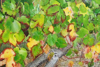 Steven Fleit: 'bordeaux vineyard 2', 2017 Acrylic Painting, Botanical. Bordeaux Vineyard, Fall, grape leaves, France, wine...