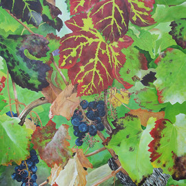 Steven Fleit: 'bordeaux vineyard 4', 2017 Acrylic Painting, Botanical. Artist Description: Bordeaux, France, Fall, vineyard, grape leaves, ...