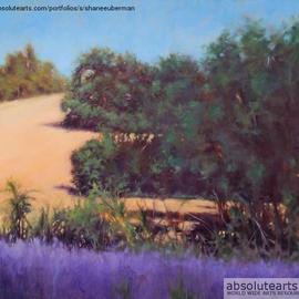 Shanee Uberman: 'SUMMER WHEAT IN PROVENCE', 2013 Oil Painting, Landscape. Artist Description:  Summer light is so intense and dramatic in the south of france. the landscape is pure magic, the colors almost unbelievable. i can feel the color, with all my senses. . . come into this landscape       ...