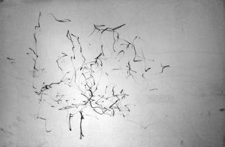 Artist: Richard Lazzara - Title: day in the coal minds - Medium: Charcoal Drawing - Year: 1972
