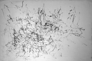 Artist: Richard Lazzara - Title: the order of chaos - Medium: Charcoal Drawing - Year: 1972