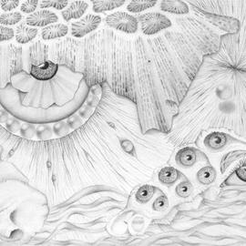 Sharon Ebert: 'Sea Deep in Wisdom', 2012 Pencil Drawing, Surrealism. Artist Description:    Sharon Ebert, sharonscapes, surreal, surrealism, graphite, pencil, eyes, pearls, seashells, visionary, Fiji, South Pacific,  ...