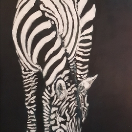 Dan Shiloh: 'zebra black background', 2023 Acrylic Painting, Animals. Artist Description: Zebra black on white...
