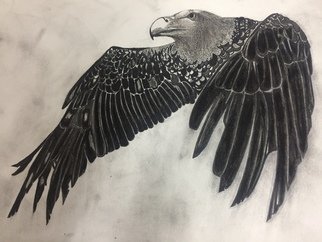 Artist: Shubham Choudhary - Title: vulture - Medium: Charcoal Drawing - Year: 2018