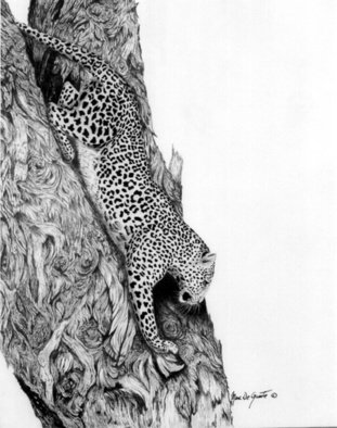 Marc De Groote: 'Cautious Descend', 2005 Graphic Design, Cats.  Graphite pencil on scatch board ...