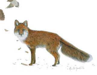 Marc De Groote: 'Seconds Too Late', 2007 Mixed Media, Wildlife.  Graphite and transparent watercolour ...
